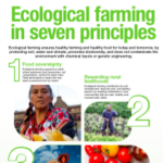 ecological farming 7 principles