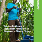 building resilience technical report july 2015