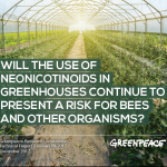 neonicotinoids in greenhouses